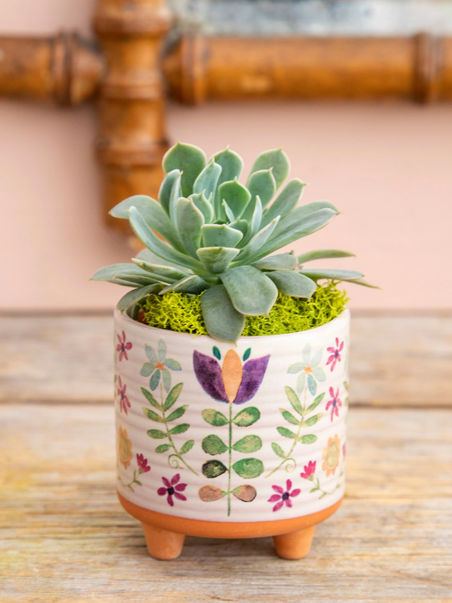 Home Goods | Soul Sisters Depot